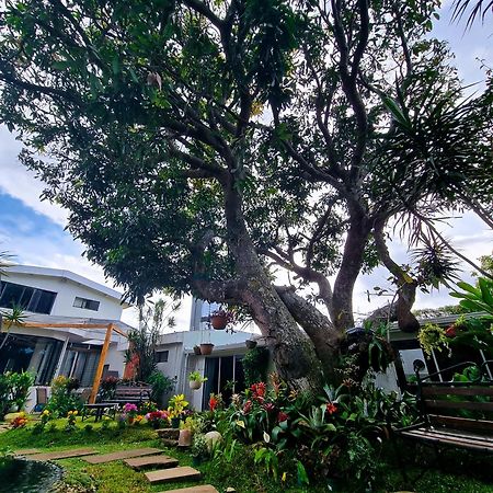 Casa Jardin Del Mango Hotel San José Kültér fotó