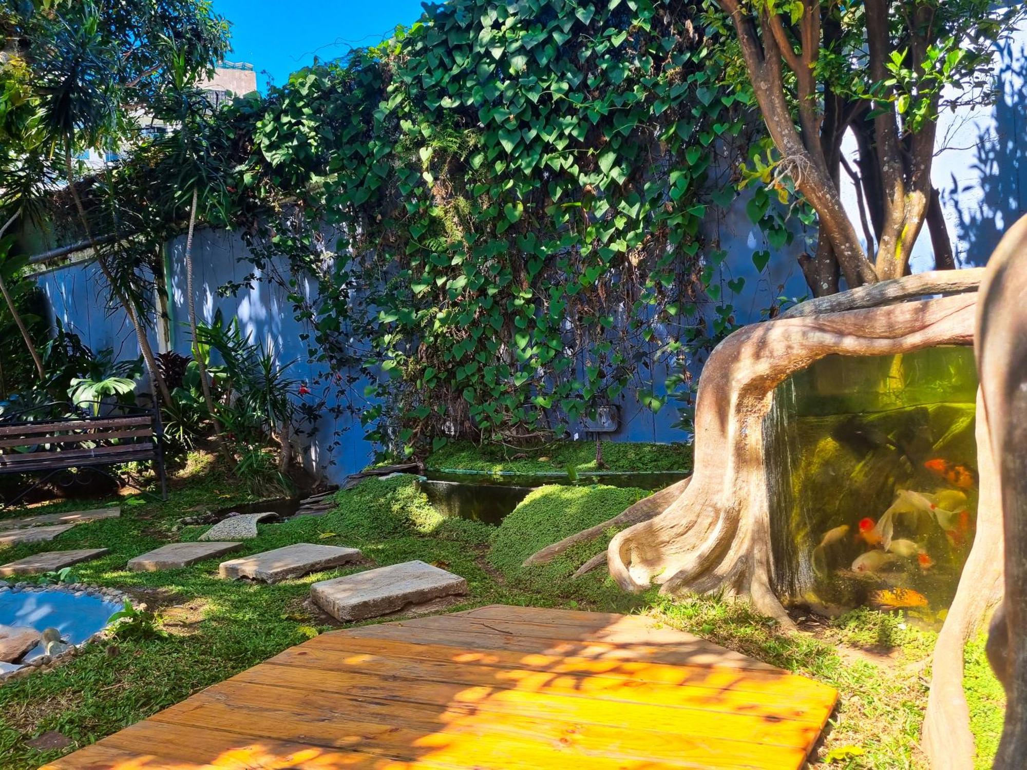 Casa Jardin Del Mango Hotel San José Kültér fotó