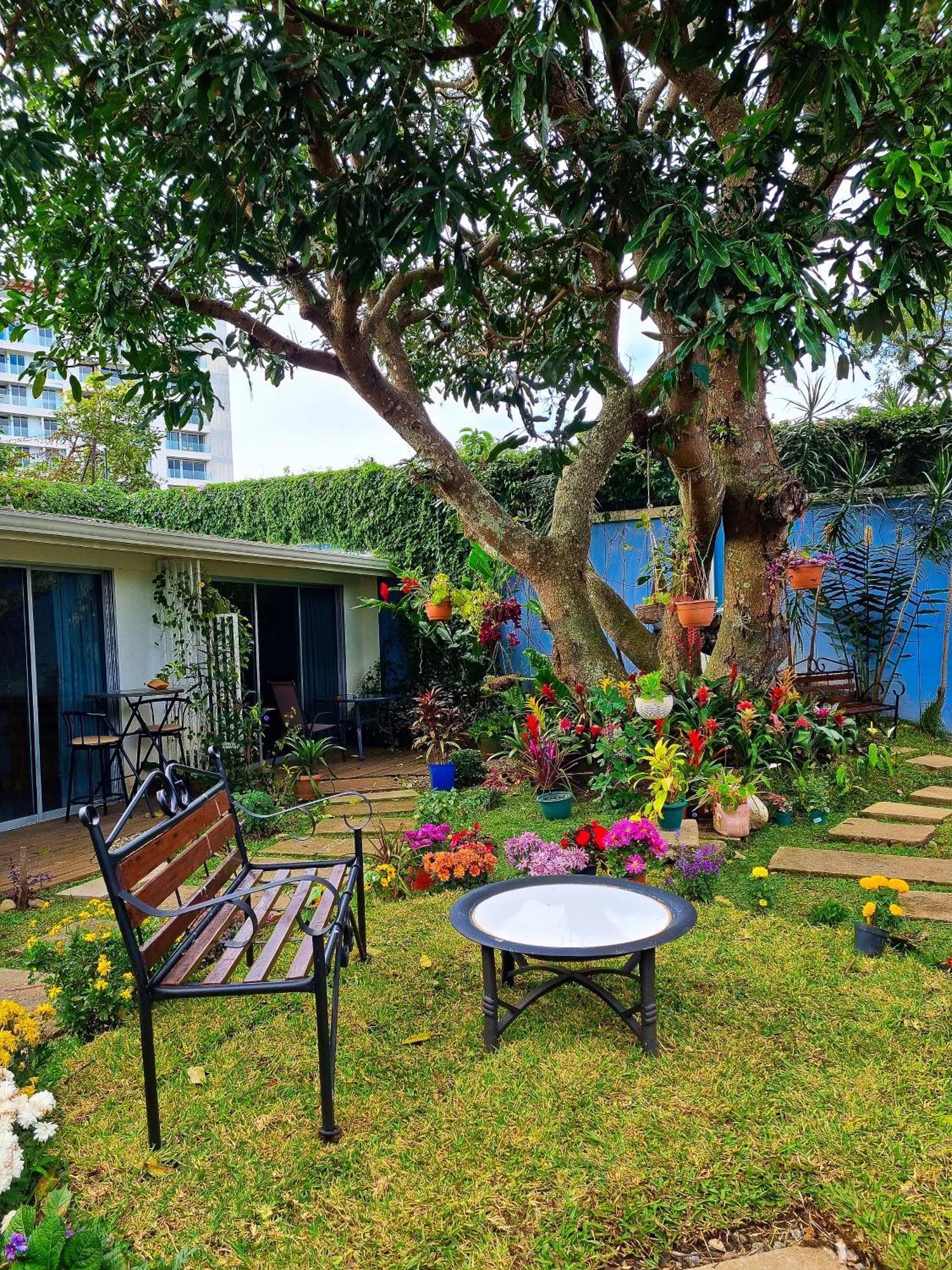 Casa Jardin Del Mango Hotel San José Kültér fotó