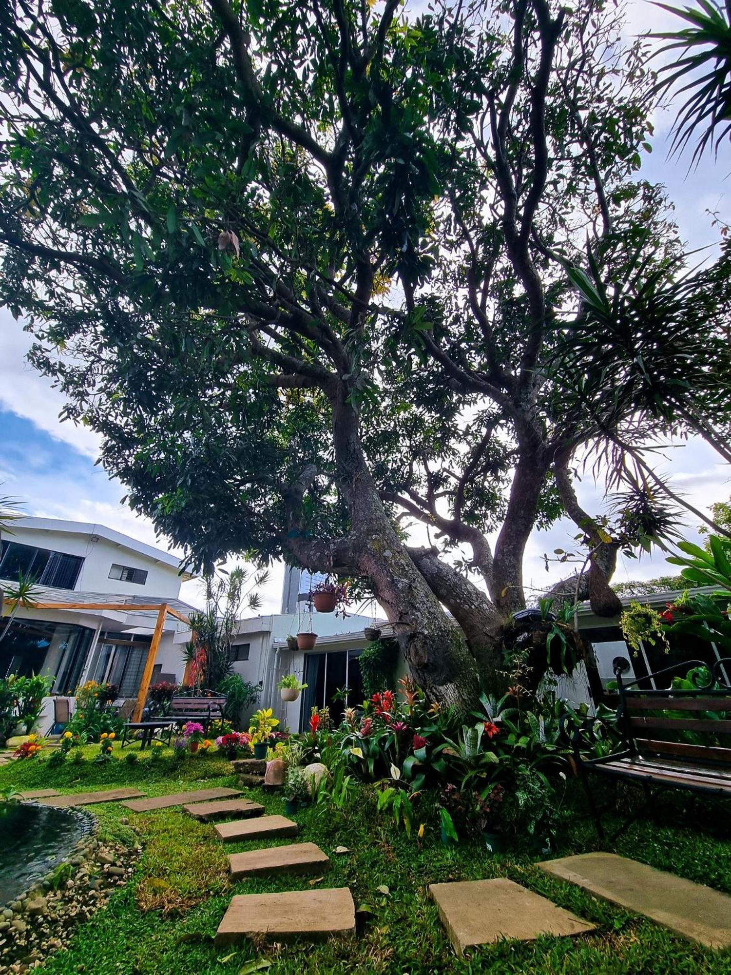Casa Jardin Del Mango Hotel San José Kültér fotó